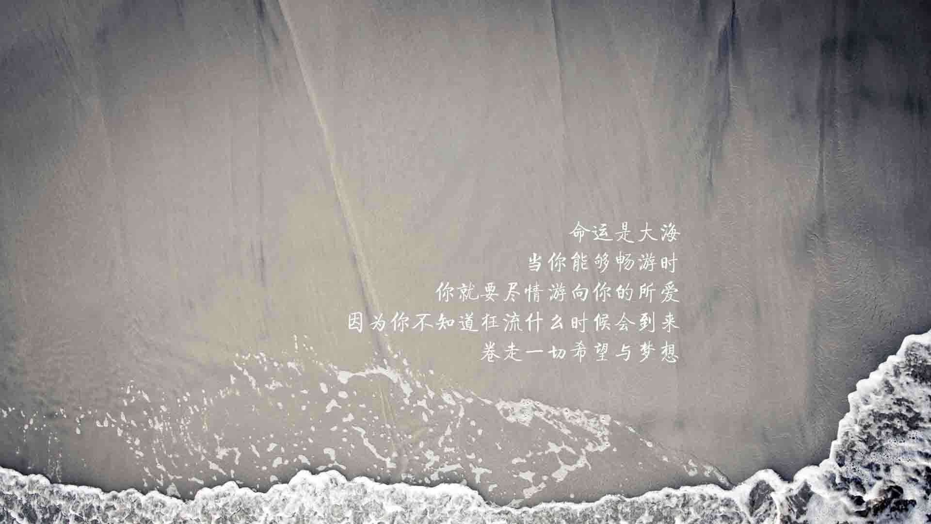 上海海港主场观众热情高涨，上海海港队比赛时间