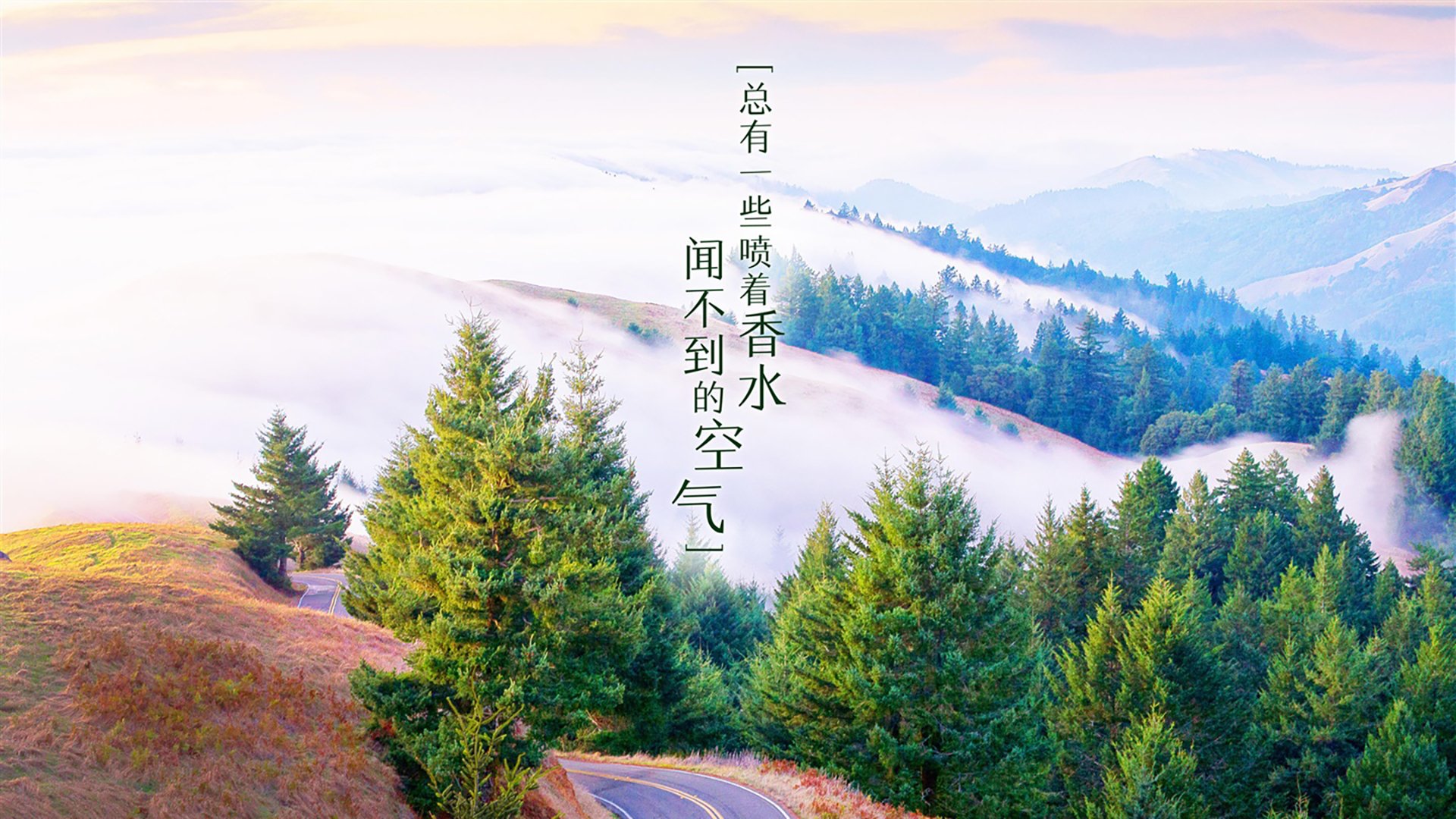 开云入口-国际足球赛事中出现一些意外的结果，对于国际足球的赛事比赛球必须有什么标志