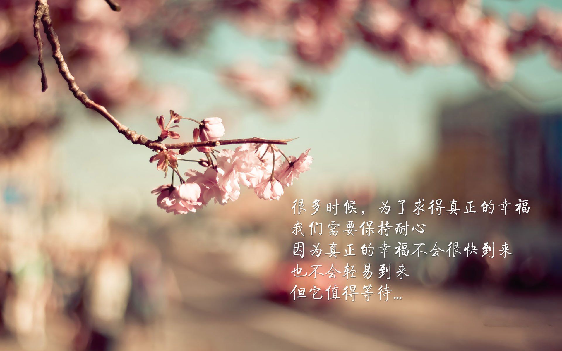 德国队员状态回勇，带来惊喜表现，德国队回国