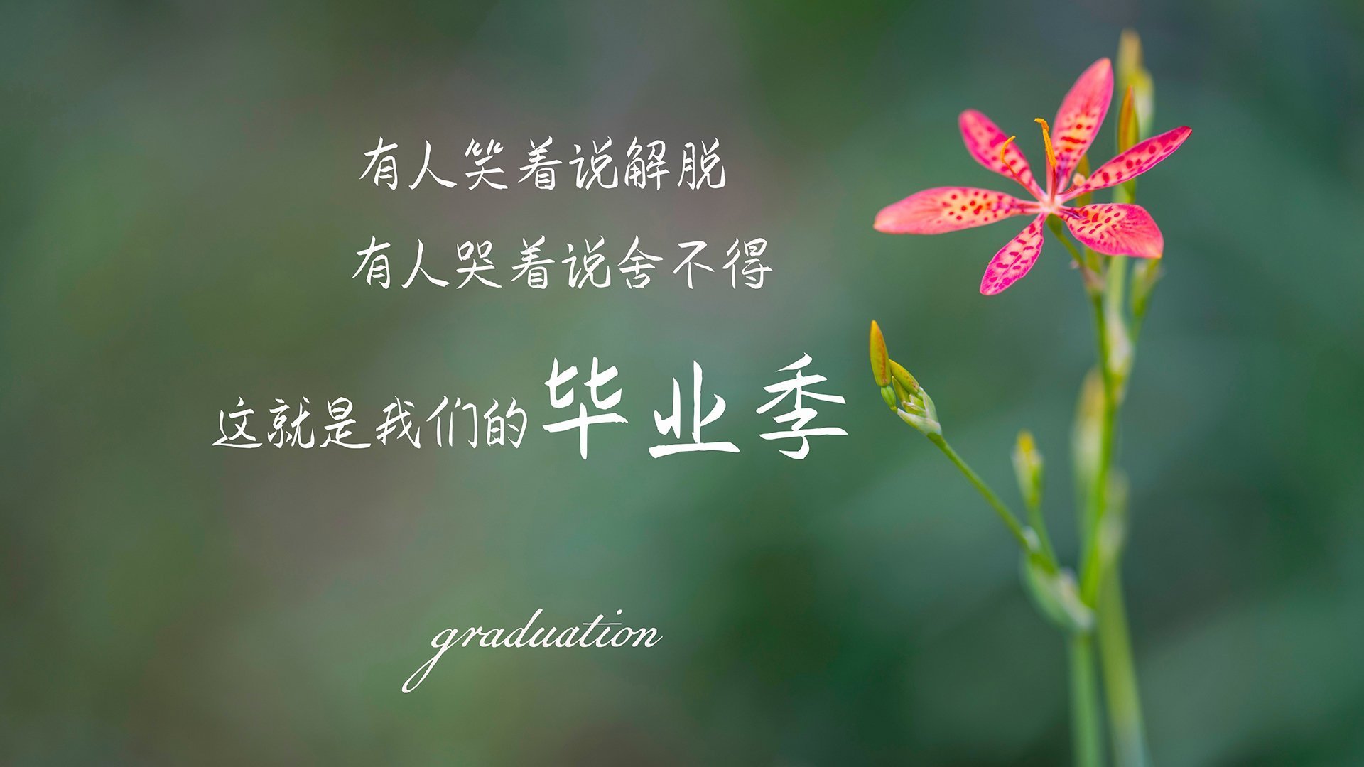 KAIYUN 中国大陆-中国男篮主力控卫发挥稳定 引导全队节奏，中国男篮控球后卫排名