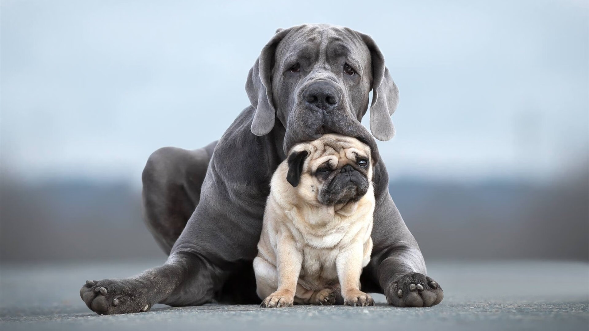 拜仁前场围抢断球能力远超博卡中场组织