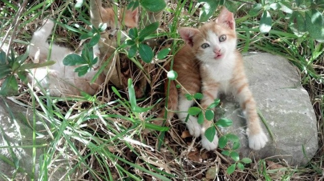 开云官网-詹姆斯谈坚持训练背后动力来源，詹姆斯练力量