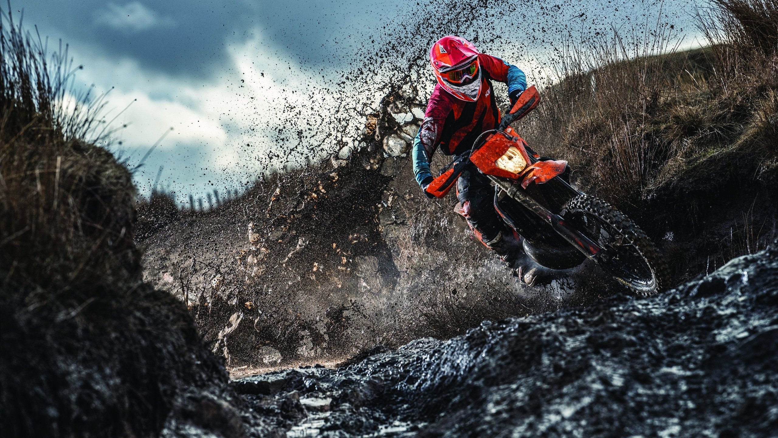 太空狼人杀世界总决赛倒计时，推理与谋略争锋